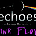15-03-echoes-ppf-logo-2019