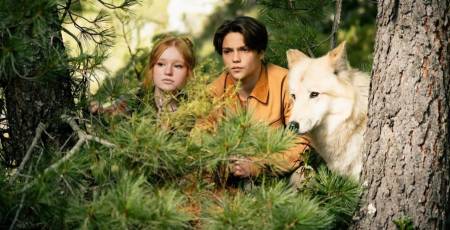 Woodwalkers_2_original