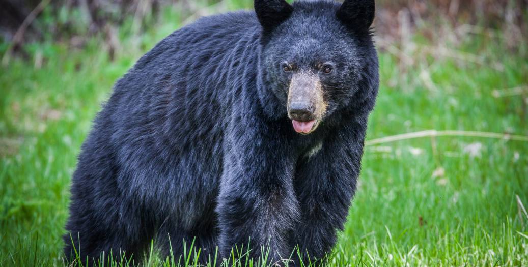 20170528-RoNeu_170528_16_10_18_017-2_original