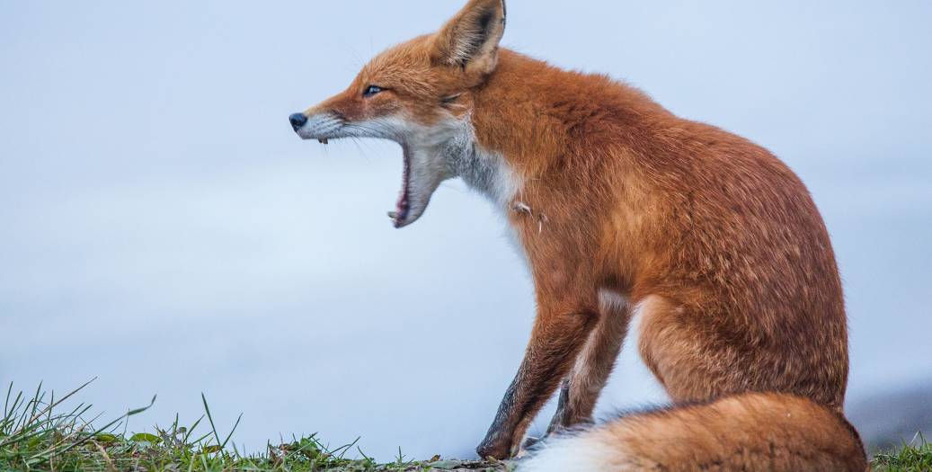 RoNeu_170901_21_37_52_067-1920px_original